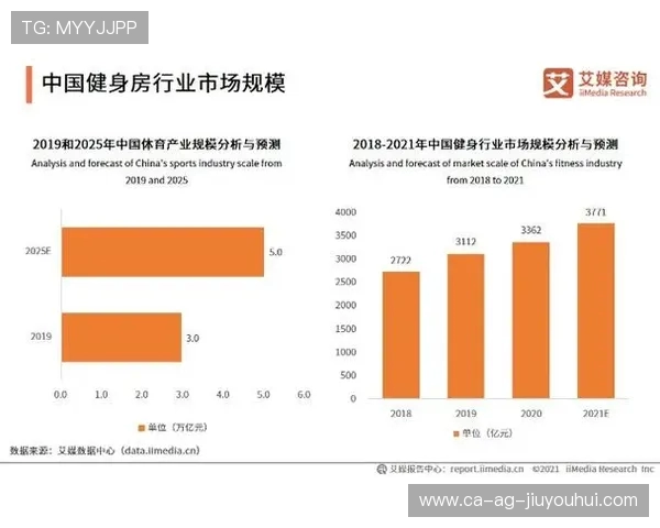 中国足球版权市场发展现状与未来潜力分析及其对行业的影响