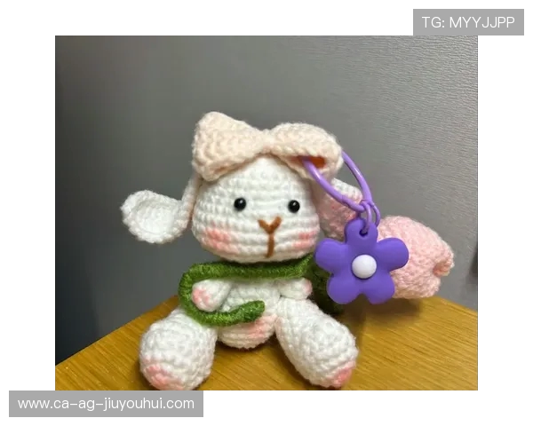 详细呈现足球玩偶毛线编织步骤与图解教程大全实用技法指南全书集